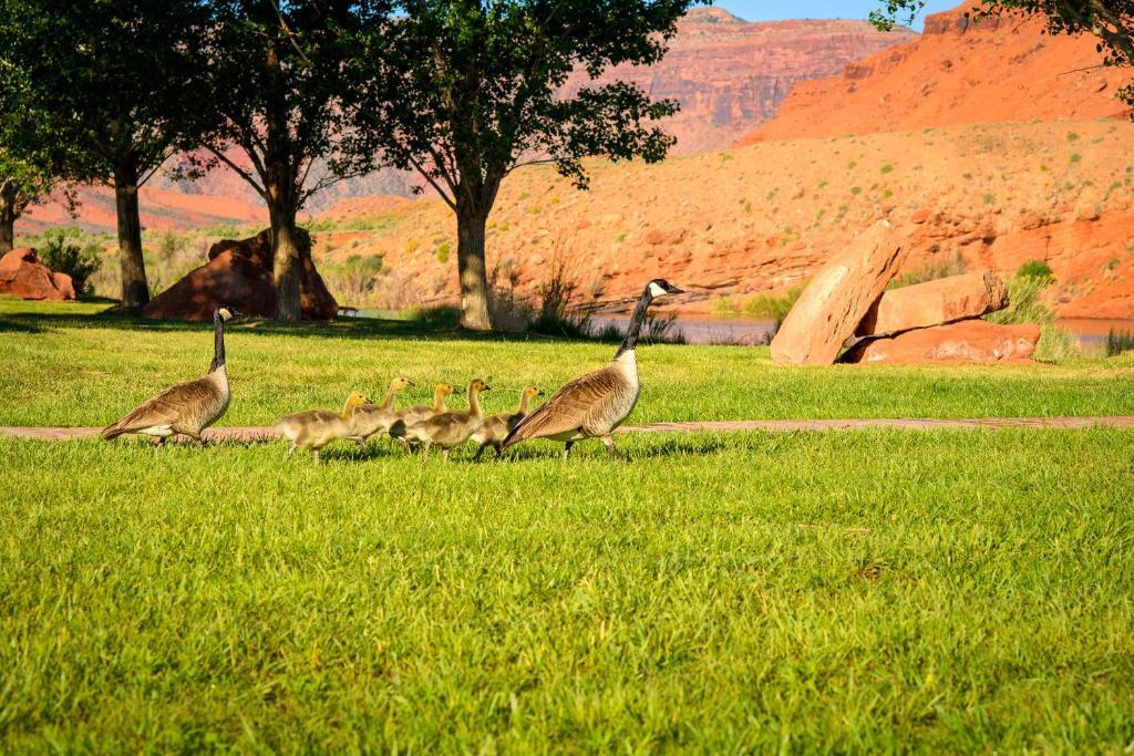 Sorrel River Ranch Resort & Spa Moab Exterior photo